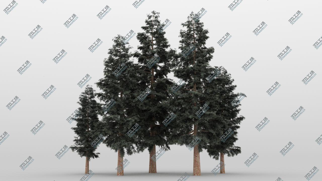 images/goods_img/202104092/3D model 40 Summer Conifer Trees/2.jpg